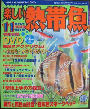 画像1: [半額処分!]楽しい熱帯魚【2009年11月号】熱帯魚と水草を極める！DVD付き！