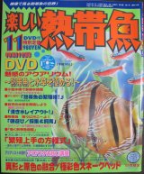 画像: [半額処分!]楽しい熱帯魚【2009年11月号】熱帯魚と水草を極める！DVD付き！