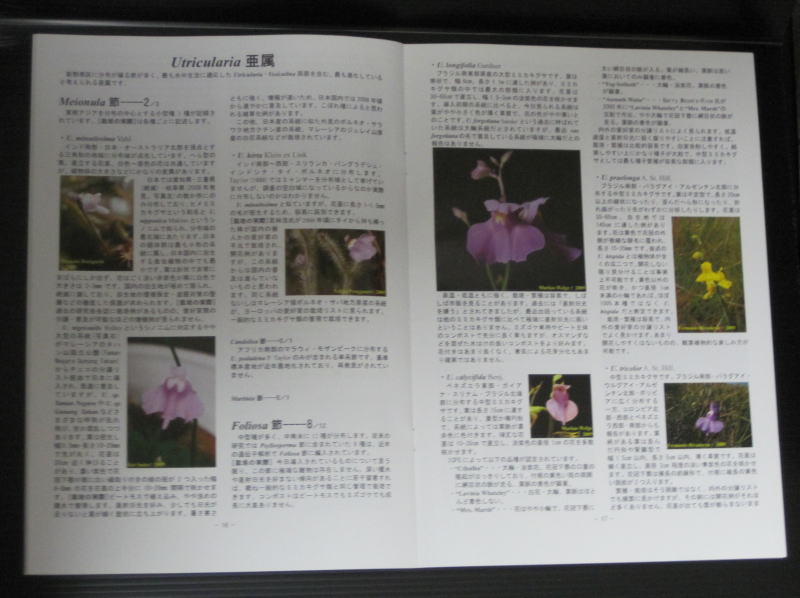 画像: 『タヌキモ属栽培種　閻魔帳　Domesday Book of Cultivated Bladderworts 』著：齋藤　央 【1冊】