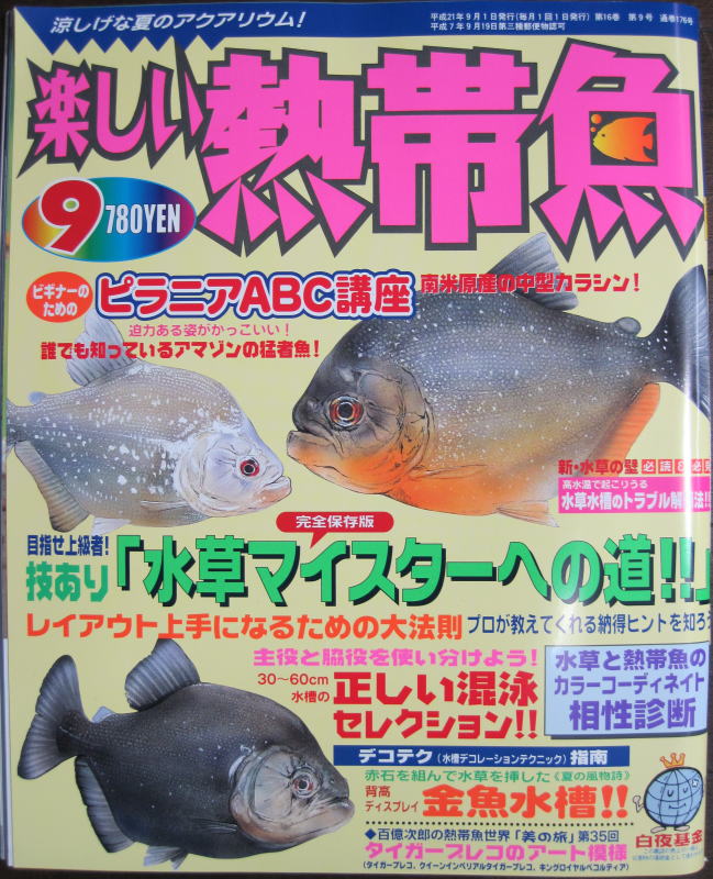 画像1: [半額処分!]楽しい熱帯魚【2009年9月号】南米産中型カラシン特集！