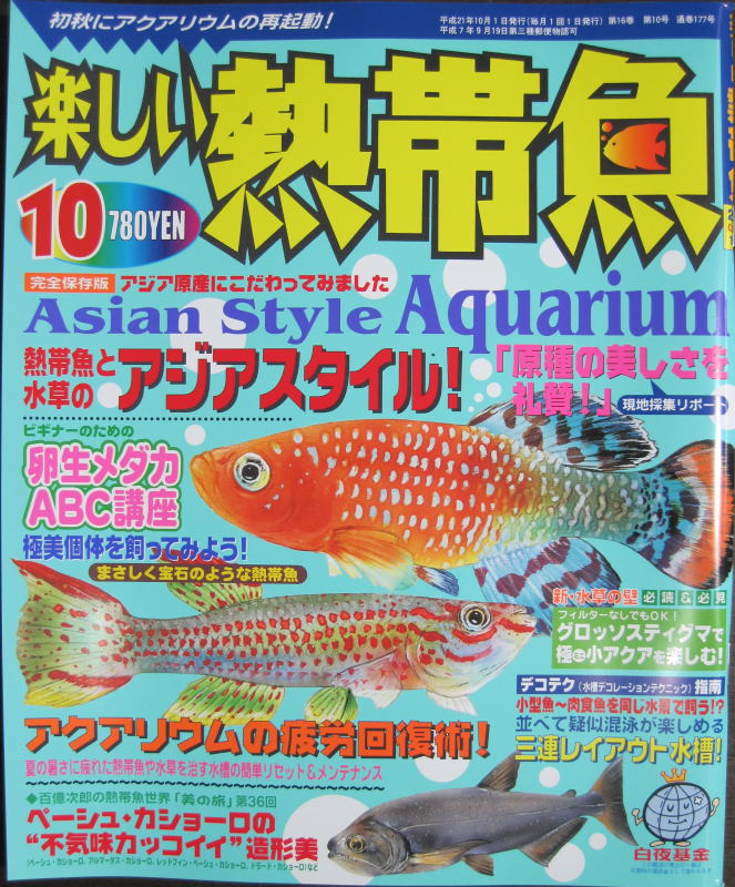 画像1: [半額処分!]楽しい熱帯魚【2009年10月号】卵生メダカ特集！