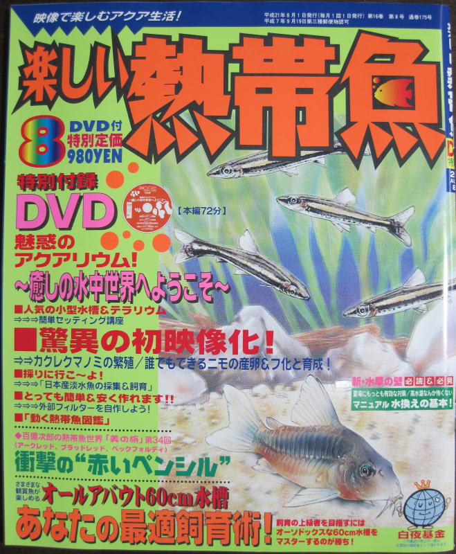 メール便送料無料 半額処分 楽しい熱帯魚 09年8月号 癒しの水中世界dvd付き コージーパラダイス 癒しのアクアリウム